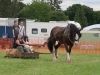 Dacorum Steam Fayre 2016 Saturday 30th july 0139