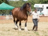 Dacorum Steam Fayre Sat 28th July 2018 0100