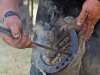 horse_shoeing_and_smoke