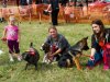 Dog-Show-Winner-and-runners-up-Best-in-Show_