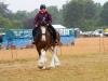 Dacorum Steam Fayre Sun 29th July 2018 0152